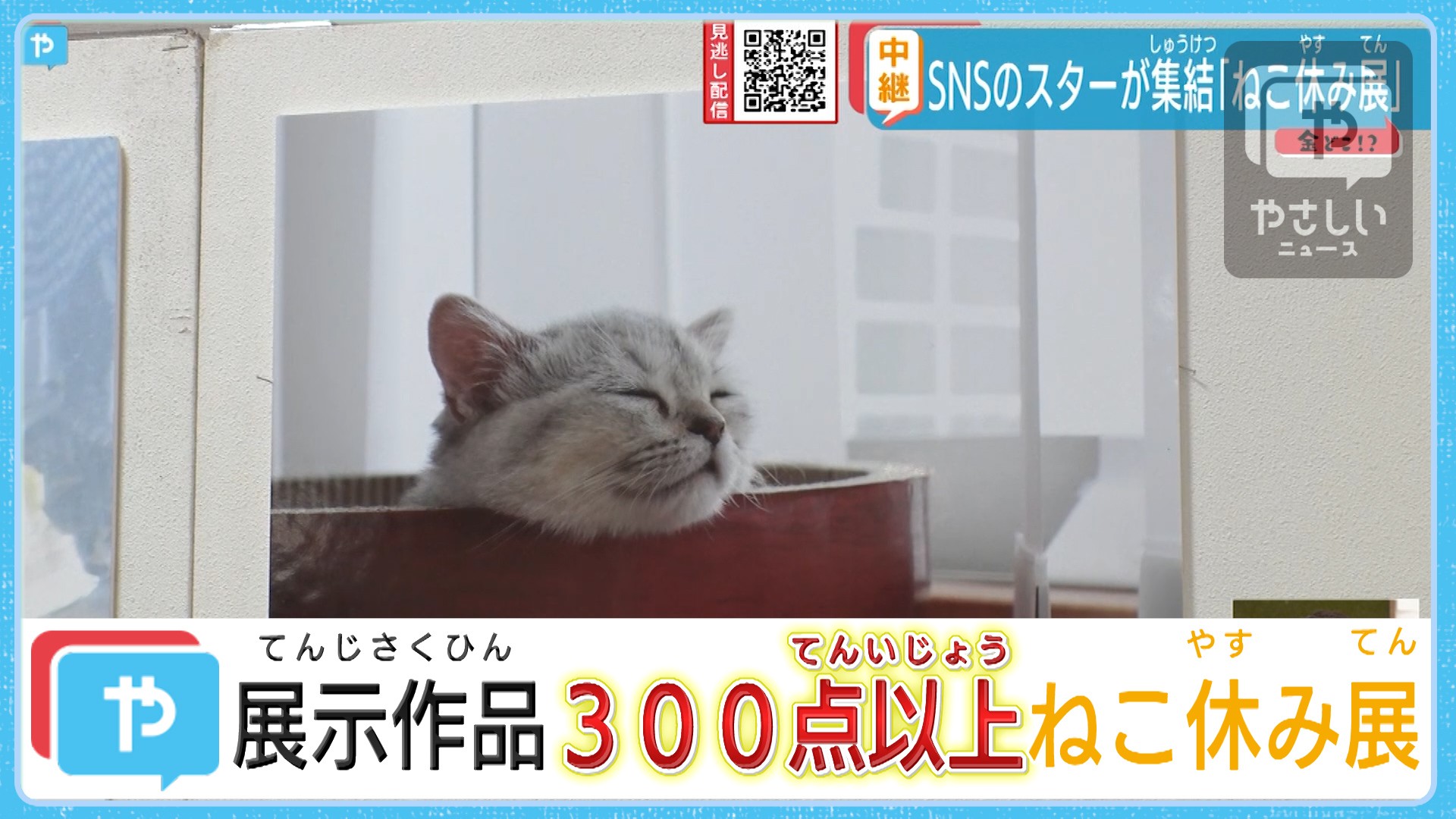 ねこ休み展 ネコ界のスーパースター が大集合 やさしいニュース Tvo テレビ大阪