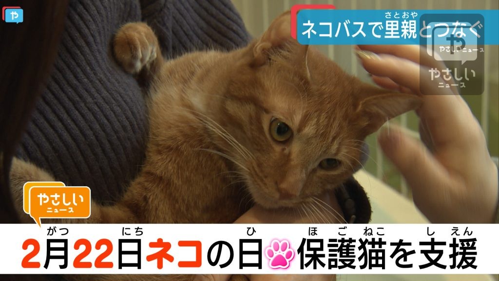 きょうはにゃんの日？猫バスで里親とつなぐ