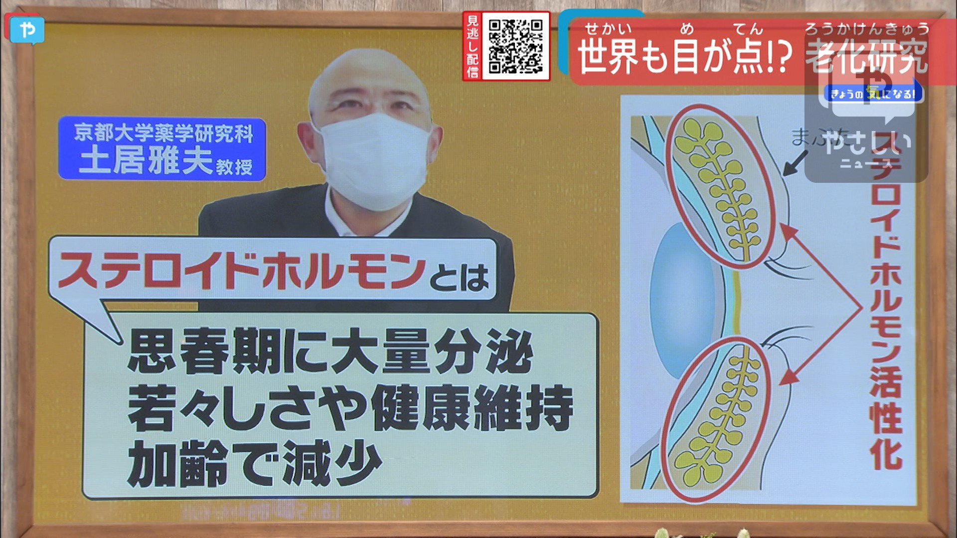 世界も目が点 老化防止に光明 やさしいニュース Tvo テレビ大阪
