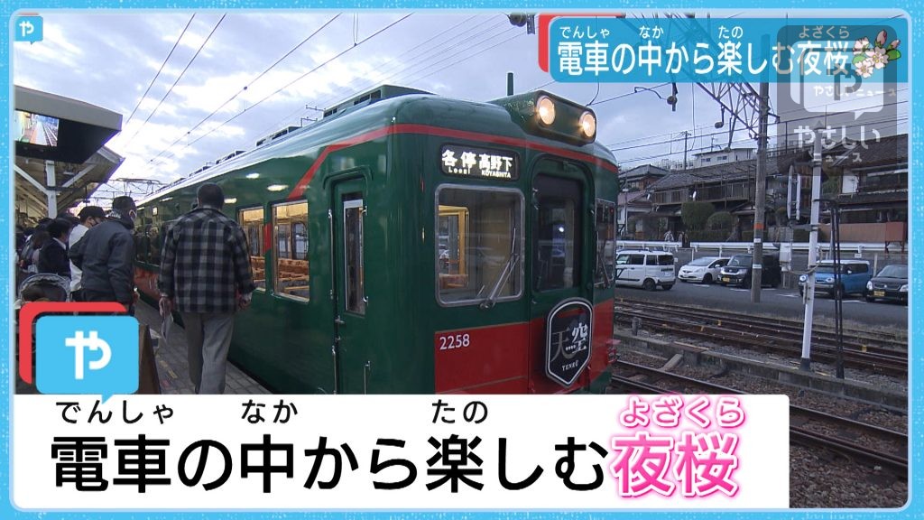 「天空」からのプレゼント　南海高野線で臨時の”夜桜”トレイン運行