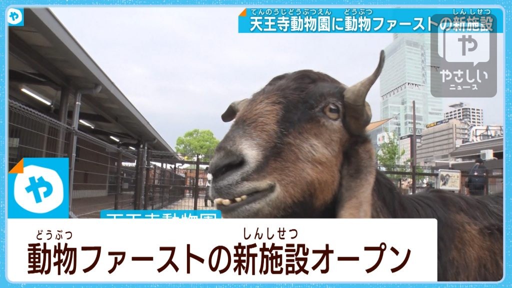 大阪・天王寺動物園　動物に”やさしい”新施設オープン