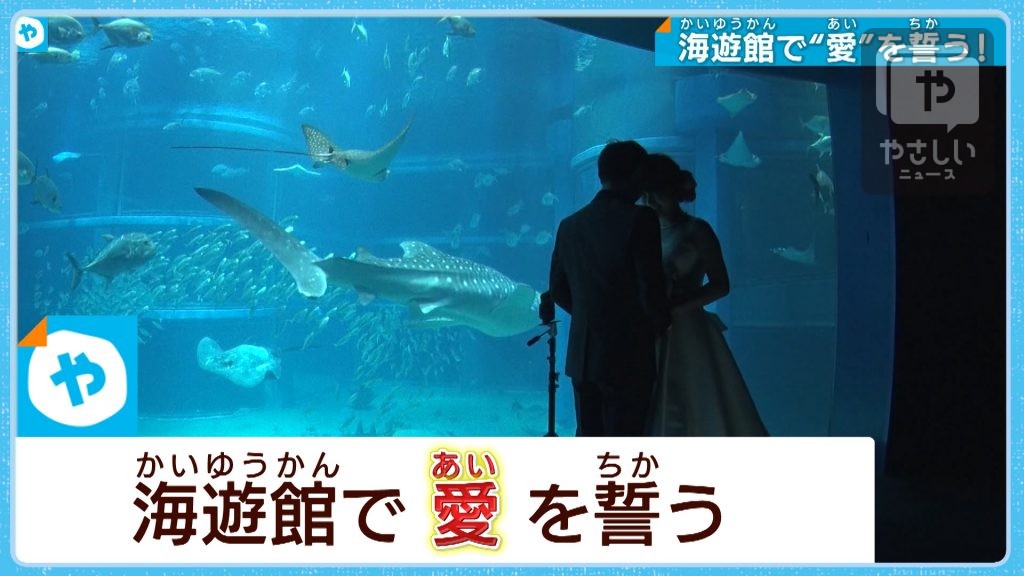 ジンベイザメも祝福　海遊館で永遠の愛誓う