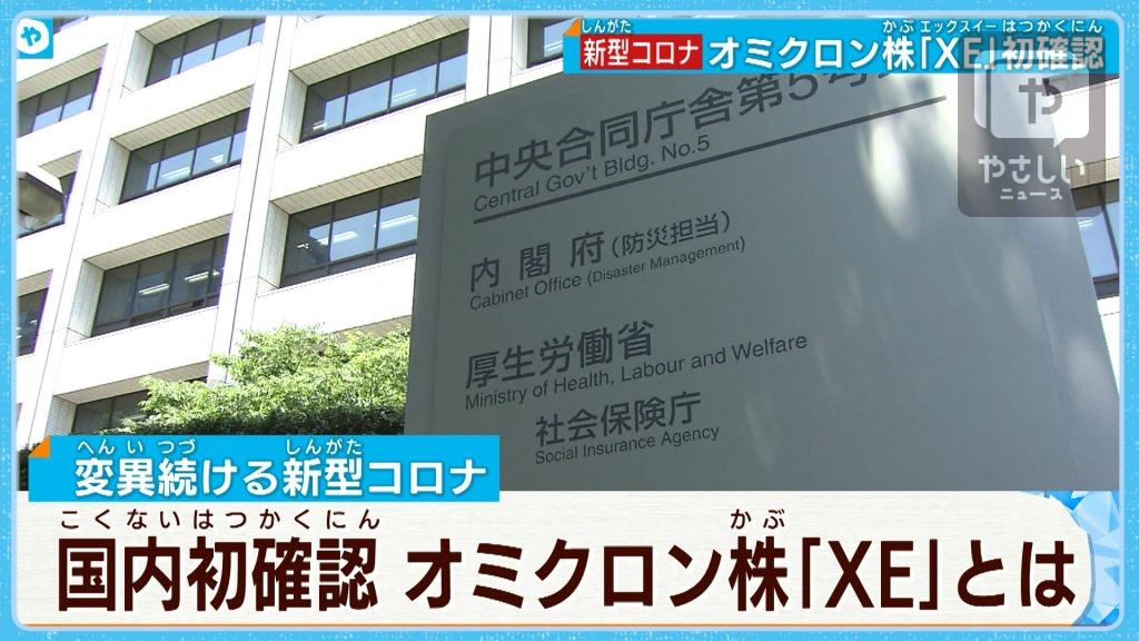 【新型コロナ】オミクロン株の新たな派生型 国内で初確認 やさしいニュース Tvo テレビ大阪 5301