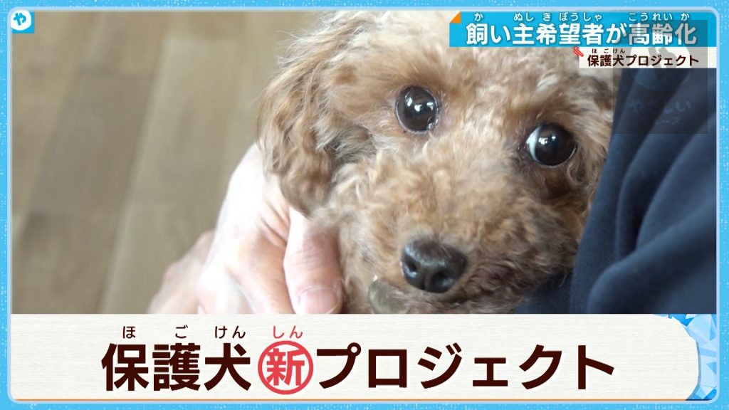 保護犬　引き取る飼い主も高齢化　その備えは…