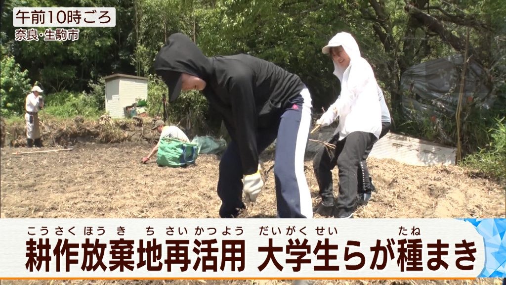 よみがえれ！ 奈良・生駒の耕作放棄地　大阪の大学生らが大豆の種まき