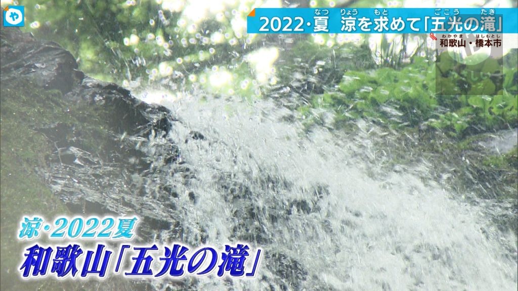 【#涼2022】清楚な“五光の滝”  高野山の入り口  和歌山・橋本を探索