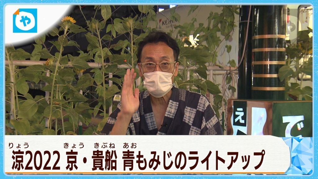 【#涼2022】京・貴船  “えいでん ” ナイトバージョン  魅惑の「青もみじ」満喫旅