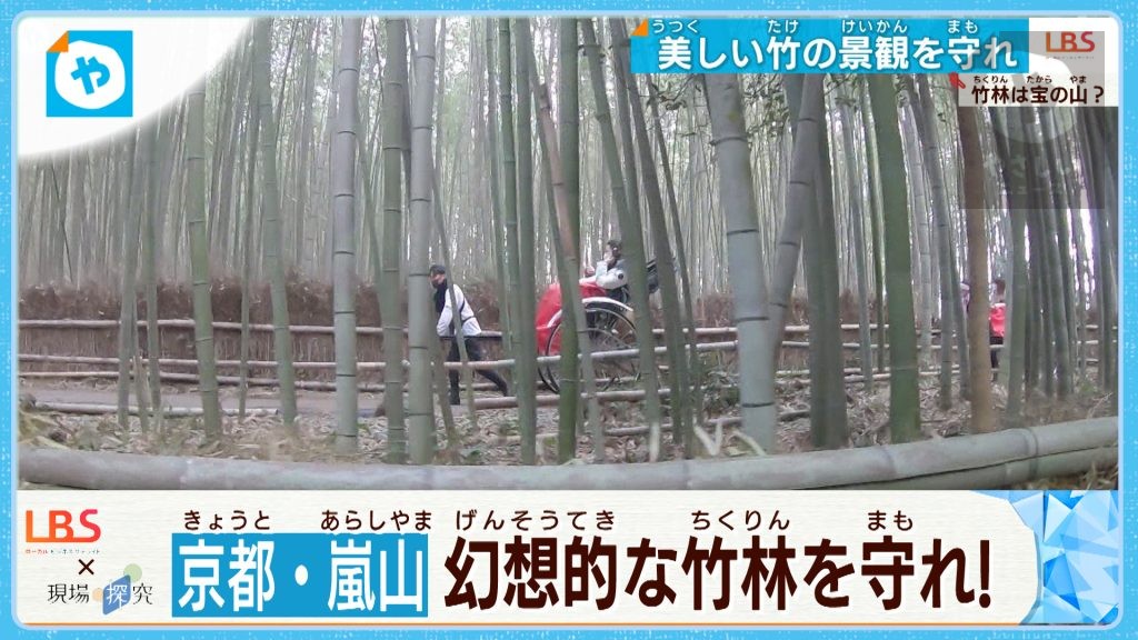 「竹林に宝あり…」京都・嵐山のブラボー！な景観守る人々