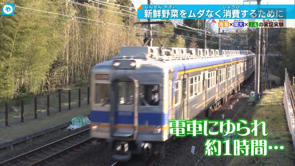 【南海電車】〇〇列車に挑戦？街と街を結ぶ、新ビジネスとは…