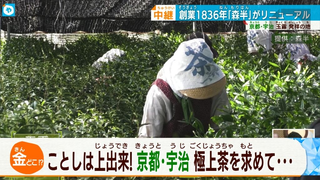 今年は上出来！ 摘みたて…“茶葉”の天ぷらに舌鼓⁉　贅沢な宇治茶三昧