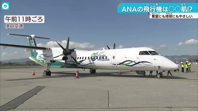 「サメ肌」効果で空気抵抗を減らす…特別塗装のSDGsなANA飛行機が初フライト