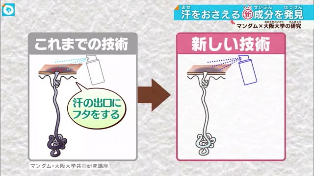 ワキ汗に朗報？阪大とマンダムが「汗をかく仕組み」研究結果発表 汗を抑える成分GMA