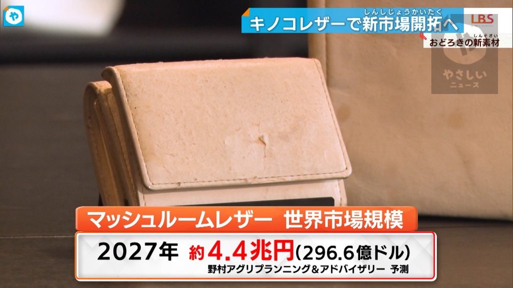 キノコでおしゃれなバッグが？！まるで本革?マッシュルームレザーに注目 | 大阪NEWS | TVO テレビ大阪