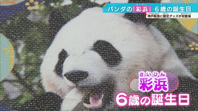 パンダの彩浜6歳に　神戸阪急で限定ショップ